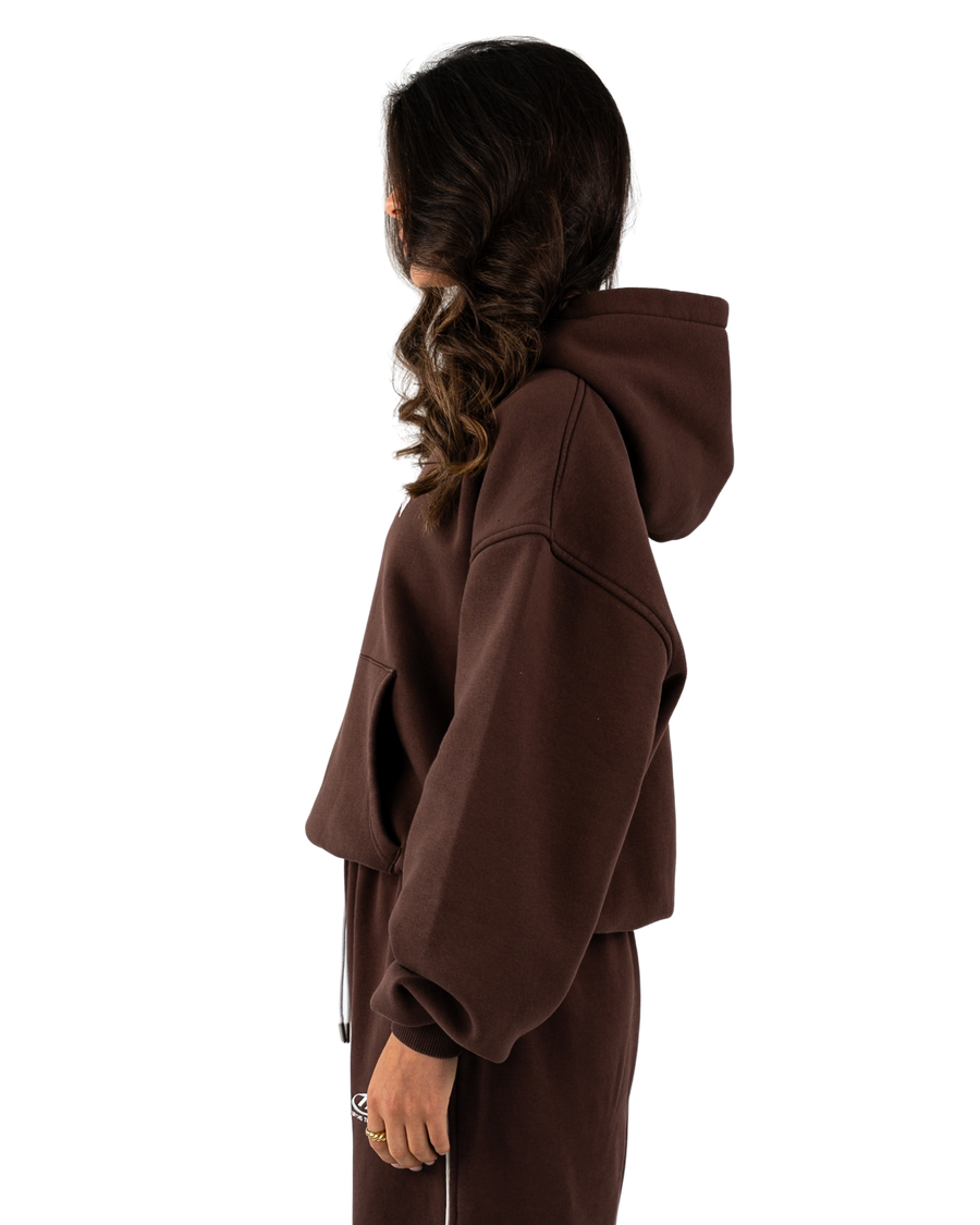 TD Oversized Hoodie Brown